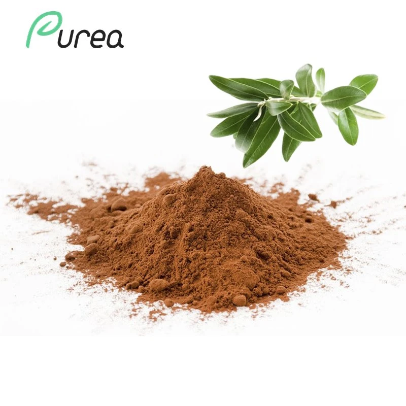 Pudră de extract de frunze de măslin