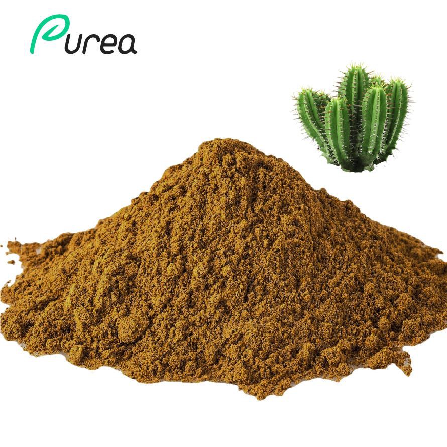 Prickly Pear Cactus Extract Powder