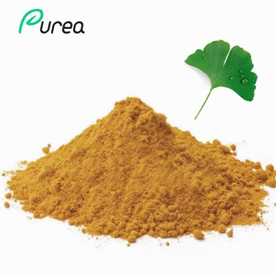 Extract de frunze de Ginkgo Bilba