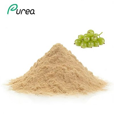 Pudră de extract de agrișe