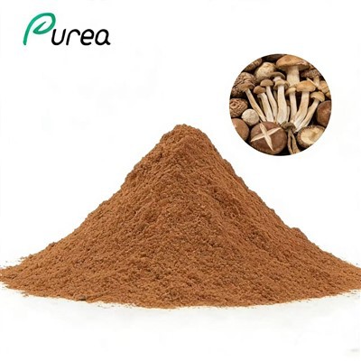 Pudră de amestec de extract de ciuperci organice