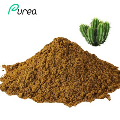 Pudră de extract de cactus de pere de figură